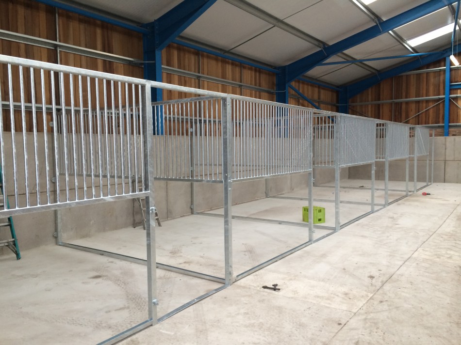 GH Equestrian