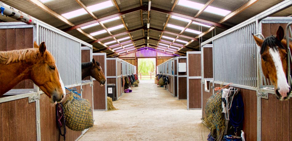 Equestrian Buildings |Stable Manufacturer | Graham Heath Equestrian